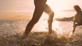 LENS FLARE, CLOSE UP, SILHOUETTE: Playful splashing with dog and owner at sunset on the beach. Dynamic and fun interaction of a dog and a young woman running through shallow seawater in golden light. - Powered by Shutterstock - Get 15% off with code: PIKWIZARD15