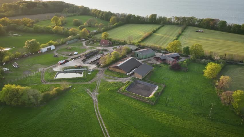 Aerial footage of livestock farm with tractor rolling a silage heap or "clamp" and in the adjacent fields,  tractor with a trailer full of grass drives around. Farm in the countryside, close to lake.