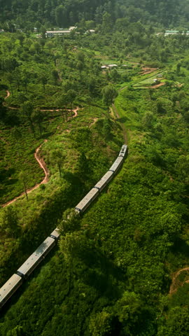 Aerial of train winds through rich Haputale mountains. Scenic Sri Lankan tea plantations, terraced fields from above. Green landscapes, sustainable rail transport blend