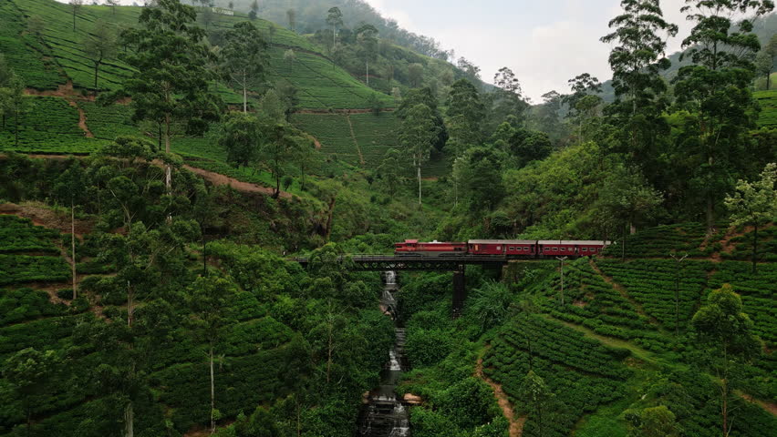 Aerial of red train crosses lush green plants on Nanu Oya viaduct, tea plantations surround as waterfalls flow below in Sri Lanka hill country, showcasing picturesque rail travel.