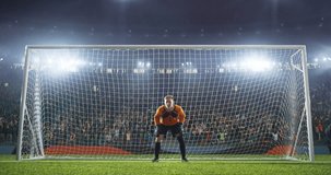 Soccer goalkeeper jumps and saves ball on a professional soccer stadium. Stadium and crowd is made in 3D and animated