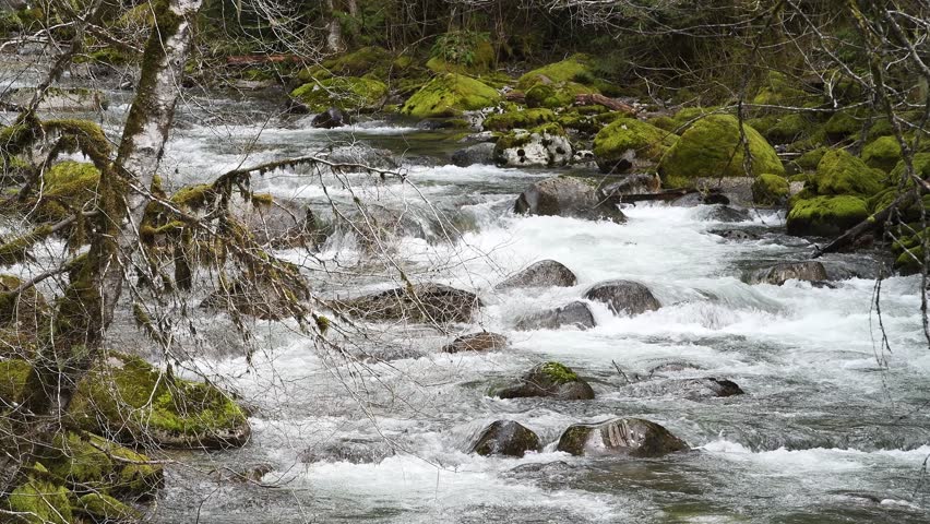 Rapid River in Cascade Mountains flows over boulders creating whitewater on descent over boulders in the fresh water