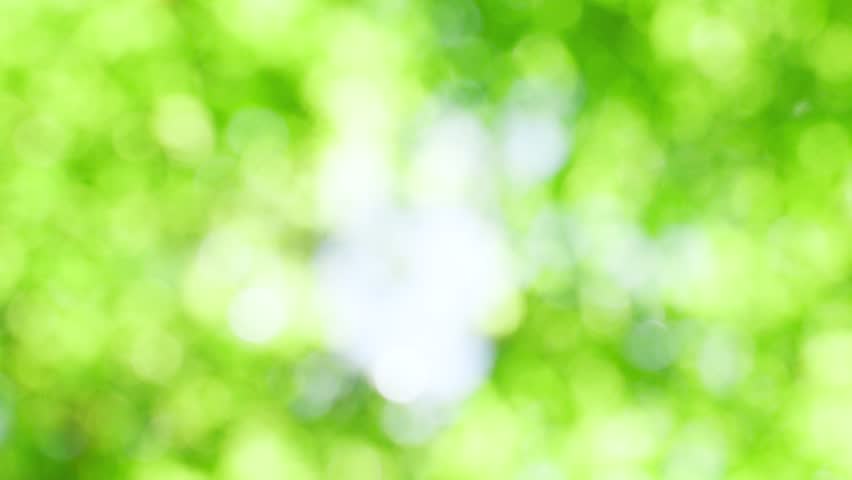 Fresh green out-of-focus, ball bokeh background material. Royalty-Free Stock Footage #3495737535