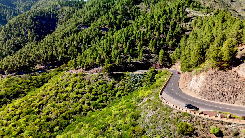 Winding road on the edge of the forest