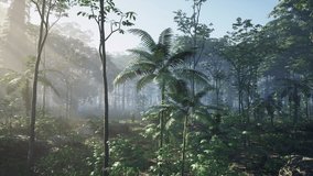Beautiful view of sun shining through big palm tree - Powered by Shutterstock - Get 15% off with code: PIKWIZARD15
