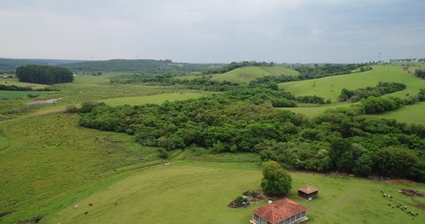 farm nature view drone fly animals
