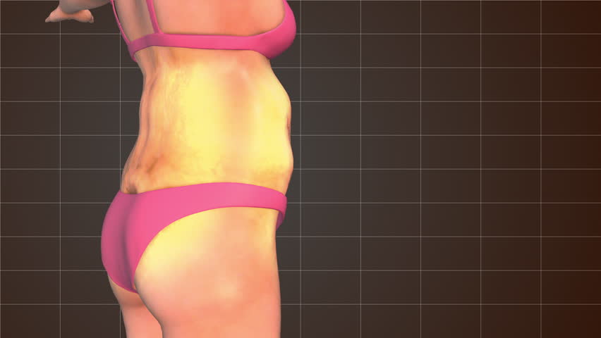 Animation showing female body fat is declining
