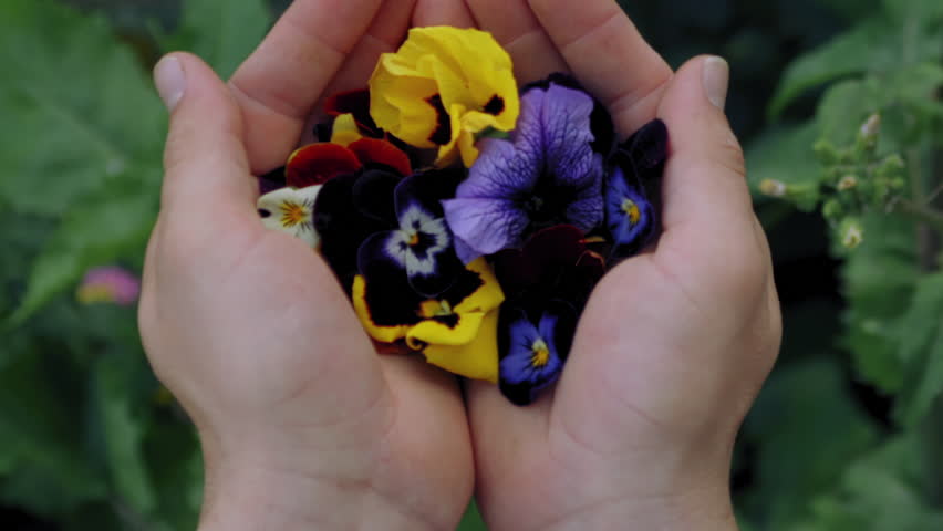 Woman holding flowers and blowing them away