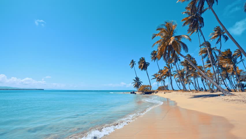 Large long wild beach with golden sand and turquoise sea. Tall palms and blue skies. Tropical paradise island in the Dominican Republic. Most beautiful beach. Holidays on the seashore. Video tinted