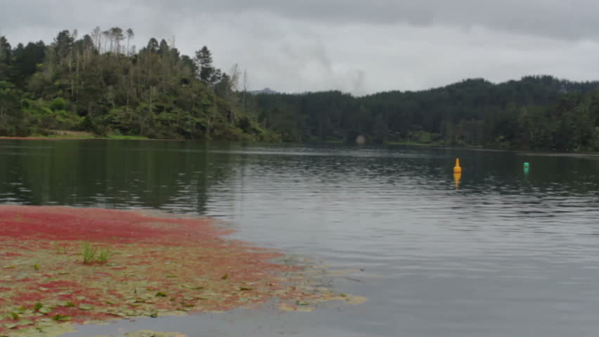 Waikato river landscape, New Zealand
