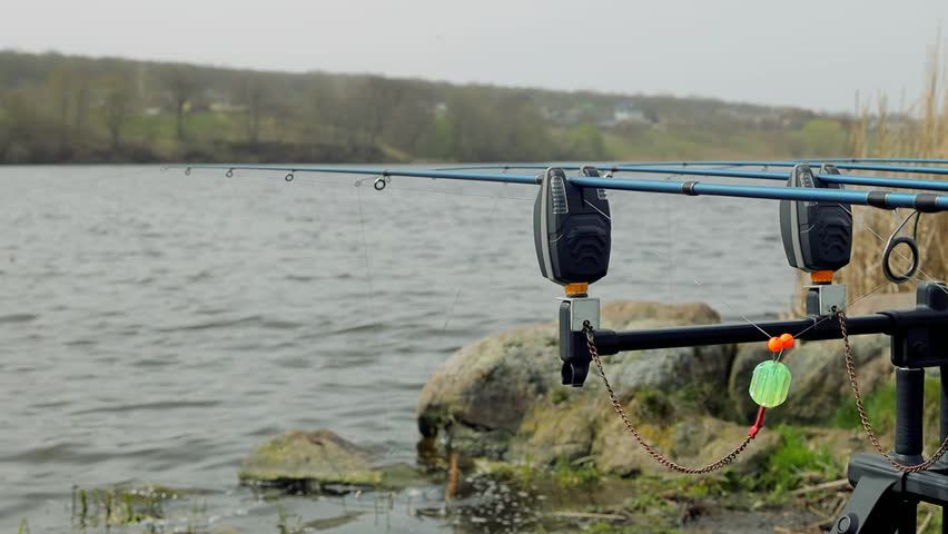 Close up carp fishing rod setup with multiple rods on a stand with alarms set lines near lakeside in early overcast morning. Hobby leisure, angling equipment gear. Fishing reels tackle holders
 Royalty-Free Stock Footage #3496562851