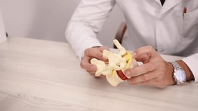 Spine Model, Manipulating Spine, Teaching Anatomy. Close-up doctors hands manipulating anatomical model spine during medical explanation. - Powered by Shutterstock - Get 15% off with code: PIKWIZARD15