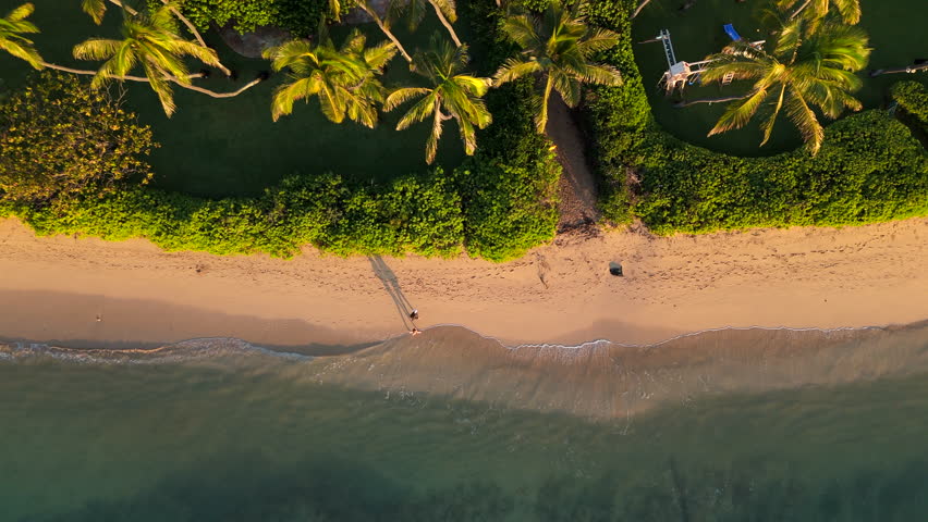 This aerial shot captures the striking contrast of dark palm shadows against the golden sands of a serene beach in Oahu, perfect for a peaceful day by the sea. Hawaii island, Oahu, Honolulu  Royalty-Free Stock Footage #3496648819