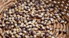 Organic dried blue corn kernels in rattan wooden bowl close up. Dry Mexican Hopi maize grains - Powered by Shutterstock - Get 15% off with code: PIKWIZARD15