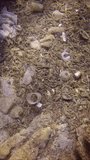 Vertical video, Top view, Lots of plastic debris at sea bed of Mediterranean Sea, Slow motion forward above polluted bottom. Close-up, Plastic pollution of Ocean
