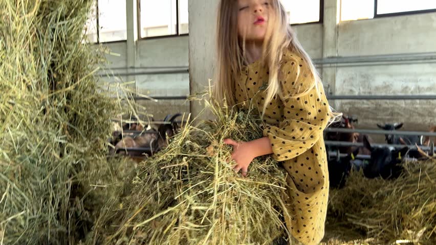 A little girl stands next to a pile of hay on the grassy soil