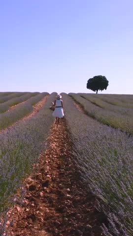Lifestyle, a woman in a summer lavender field in a white dress enjoying nature
