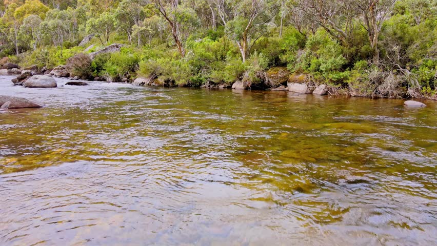 Fresh River Stream In The Woods Of Kosciuszko National Park, New South Wales, Australia. Aerial Drone Shot Royalty-Free Stock Footage #3496942957