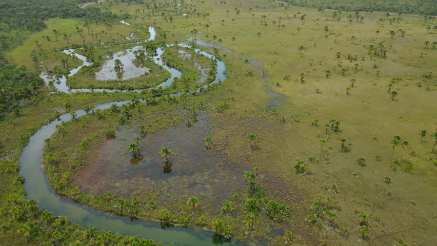 Wetland Landscape in Brazil. Aerial View