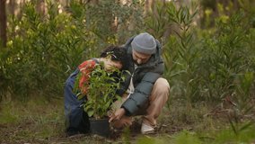 A tender moment as a father teaches his young son how to plant a tree, bonding over nature. - Powered by Shutterstock - Get 15% off with code: PIKWIZARD15