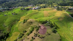 4K Aerial Drone video of the most beautiful vivid green Cadapdapan rice terraces with a hill in the middle and small local houses and sheds around in Bohol Philippines