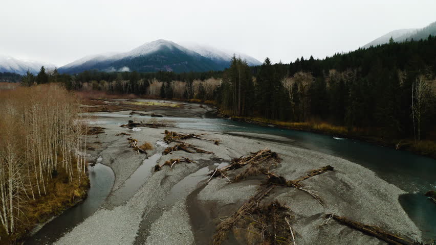 Fallen Trees on the Hoh River In Daytime In Olympic Peninsula, Washington, USA. Aerial shot