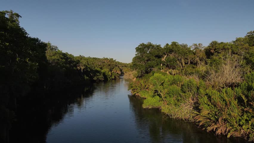 journey down the subtropical estuary preserve in Terra Ceia, Florida