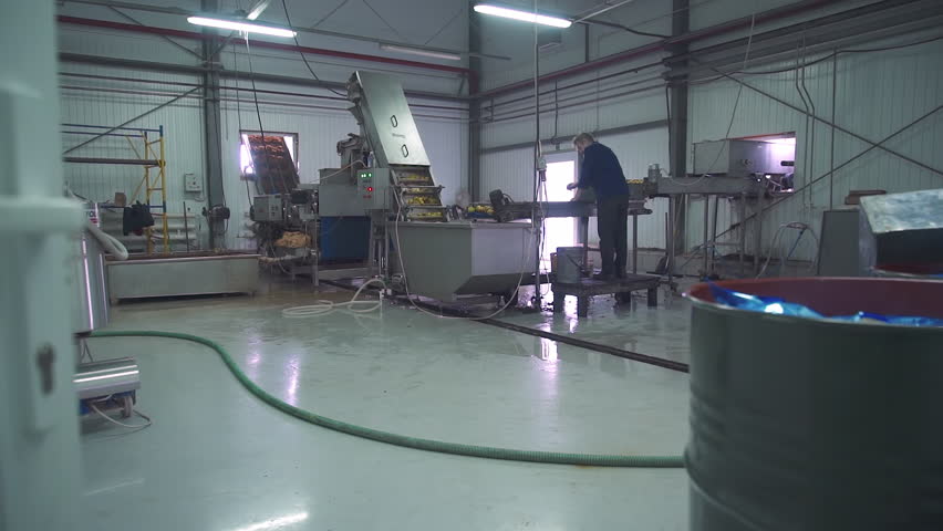 Automated factory machine washing the collected apples. Factory machine processing the fresh apples for cider beverage manufacturing. Factory machine cleaning the apples with lots of water. Brewery.