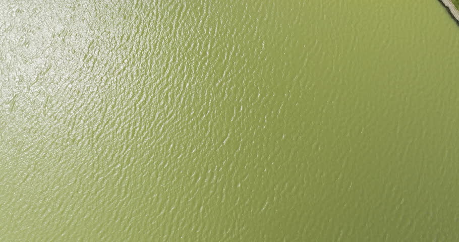 Shelby farms park with vibrant green water, slight ripples, and land edge, aerial view