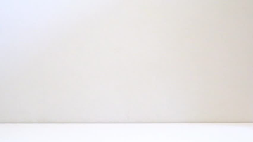 Playful kitten catching up barefoot child, biting, mischief pet, funny time. White wall and floor