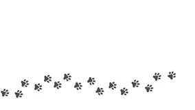dog paw, cat paw trail print isolated on white background. 4k animated video	 - Powered by Shutterstock - Get 15% off with code: PIKWIZARD15