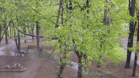 Heavy snowfall and frost at the end of spring when all the trees were blooming in park - Powered by Shutterstock - Get 15% off with code: PIKWIZARD15