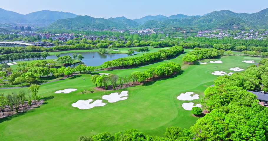 Aerial view of green grass and trees on a golf fields. green golf course in summer.