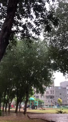 PARK OUTDOOR NATURE GREEN TRESS 