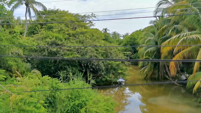 Green beautiful tropical river Freshwater Lagoon in Zicatela Puerto Escondido Oaxaca Mexico.