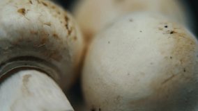 Macro crisp video of a pile of mushrooms, detailed RAW champignons, white caps reflection, on a rotating stand, smooth movement, slow motion 120fps. studio lighting, Full HD