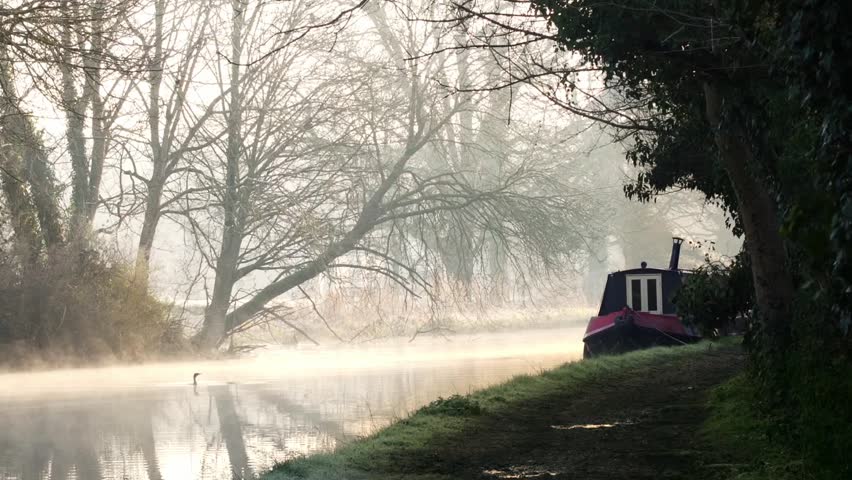 Canal boat in a foggy morning with a duck to the left