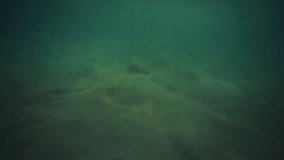Green mystic water with rays shining through column of ocean, clean background - Powered by Shutterstock - Get 15% off with code: PIKWIZARD15