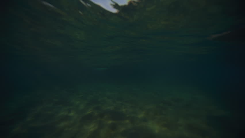 Underwater sideview of surfer paddling longboard with both arms Royalty-Free Stock Footage #3498168315