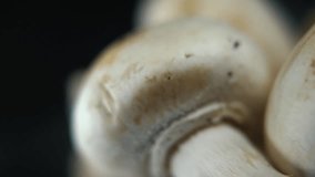 Macro crispy video of a pile of mushrooms, detailed RAW champignons, white caps, on a rotating stand, smooth movement, slow motion 120fps. studio lighting, Full HD