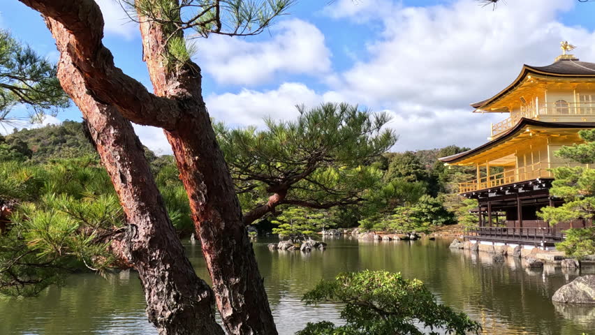 Kinkakuji temple on a pond, Kyoto, Japan. Video in autumn season on a sunny day.