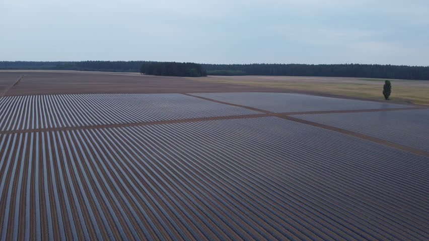 system of drip irrigation of fields, view from the height of a drone Royalty-Free Stock Footage #3498477889