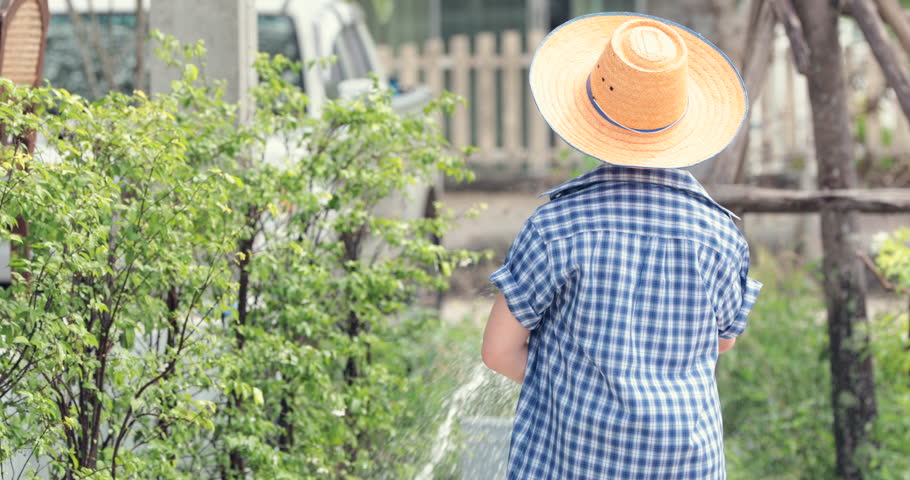 Young asian Thai boy water on little seedling on the black soil in the garden. Earth day concept.