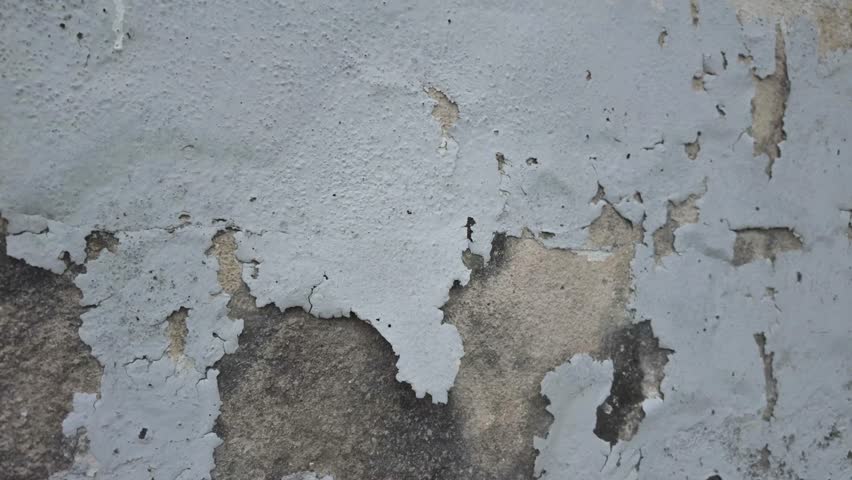 Close-up view of the wall paint peeling off and mold on the wall.