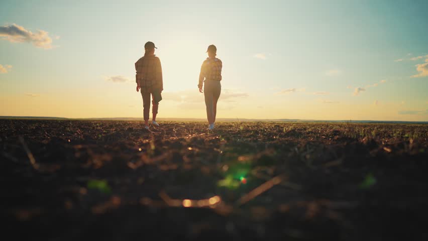 Silhouette of women farm workers agronomist manager with tablet discuss plan spring works of planting, making calculations on agricultural field at sunset, full length. Farmland, work on farmland.