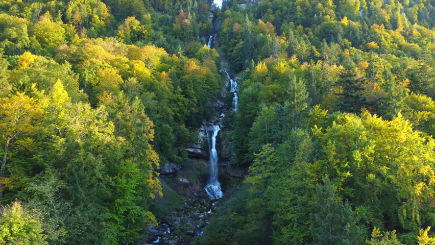Waterfall surrounded by lush forest, trees, plants, and shrubs