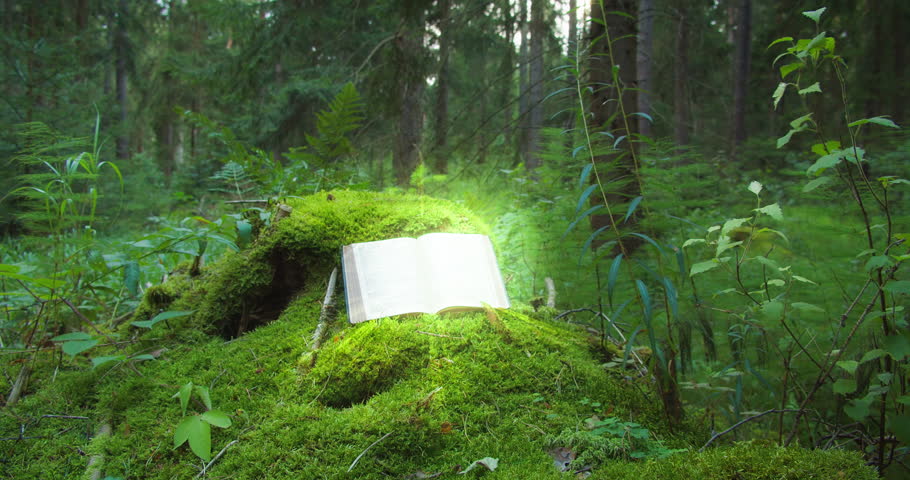Open book Holy Bible glowing on a moss-covered fallen tree in a forest, light filtering through the trees. Religious background.