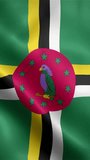 Dominica flag waving animation, vertical video, seamless loop animated, official colors (portrait).