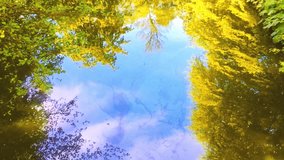 water surface shot stone impact splash waves water level change slowmotion - Powered by Shutterstock - Get 15% off with code: PIKWIZARD15