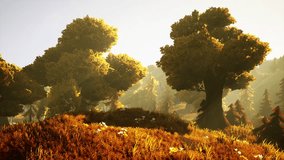 cartoon Sunrise on a foggy morning - Powered by Shutterstock - Get 15% off with code: PIKWIZARD15